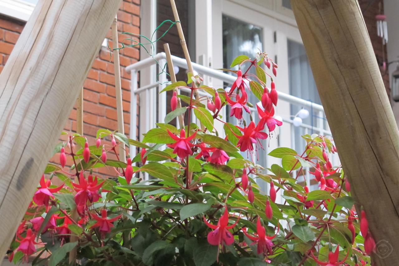 B&B West City Amsterdam Ngoại thất bức ảnh